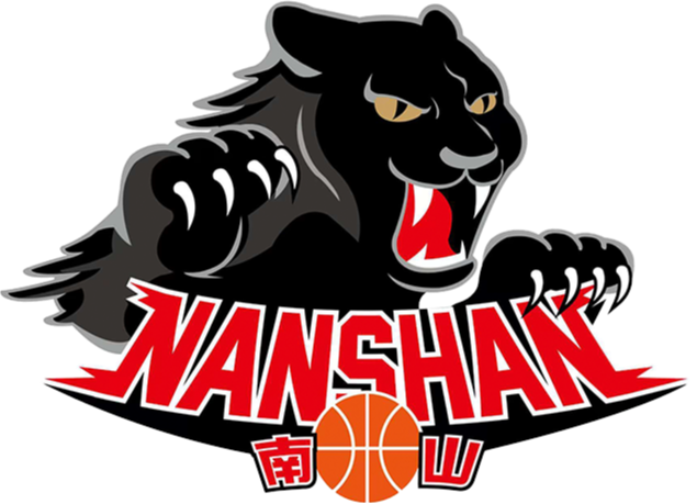 新北市南山高中队